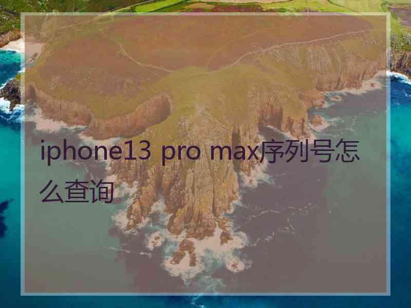 iphone13 pro max序列号怎么查询