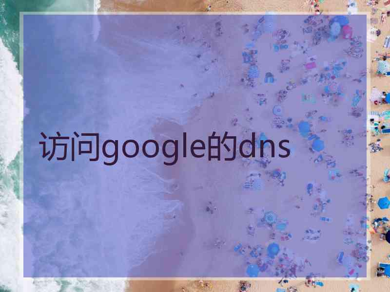 访问google的dns