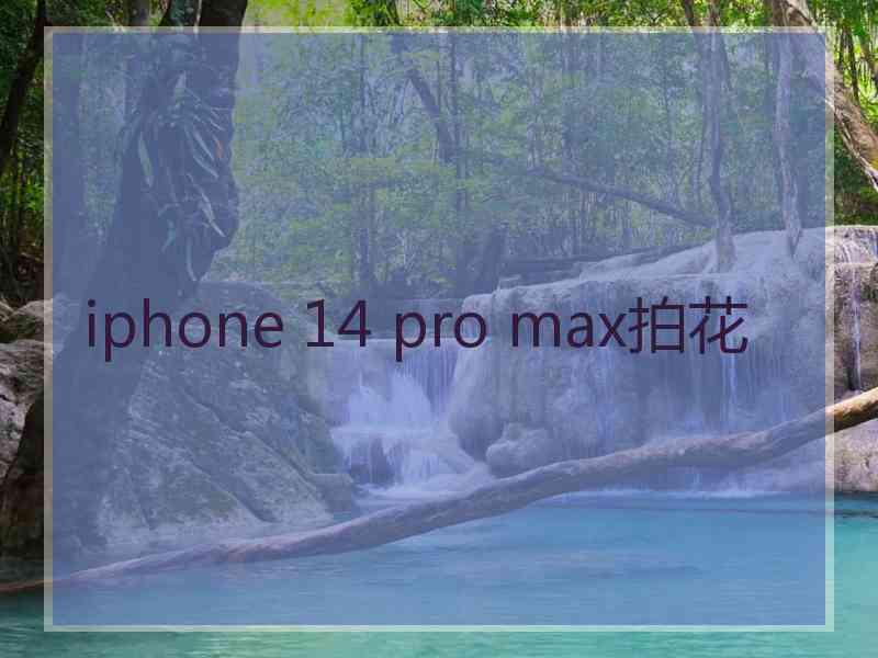 iphone 14 pro max拍花