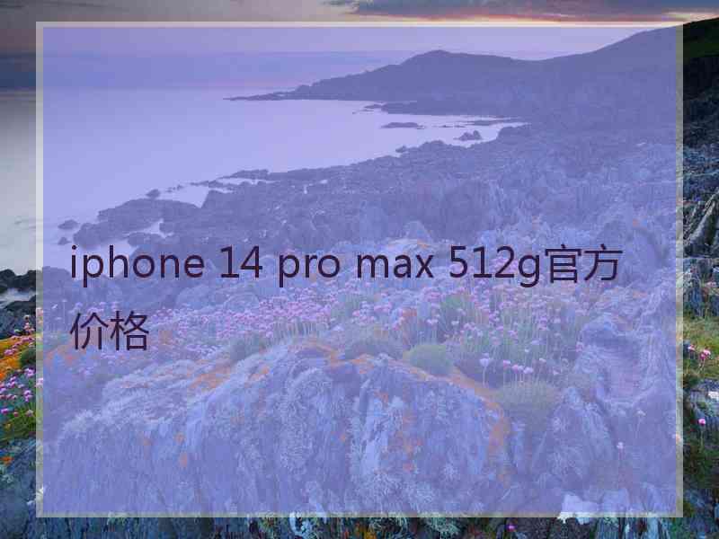 iphone 14 pro max 512g官方价格