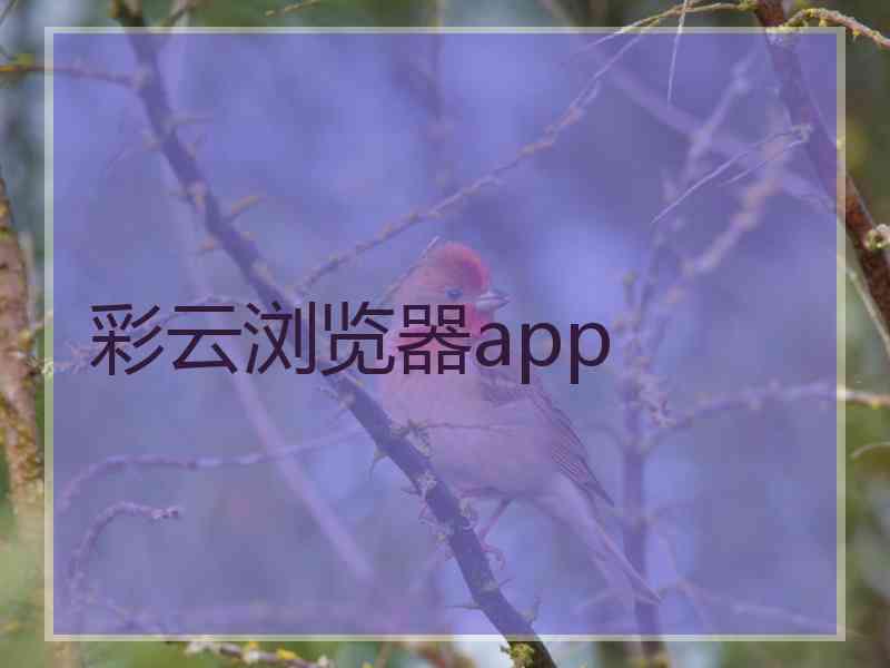 彩云浏览器app