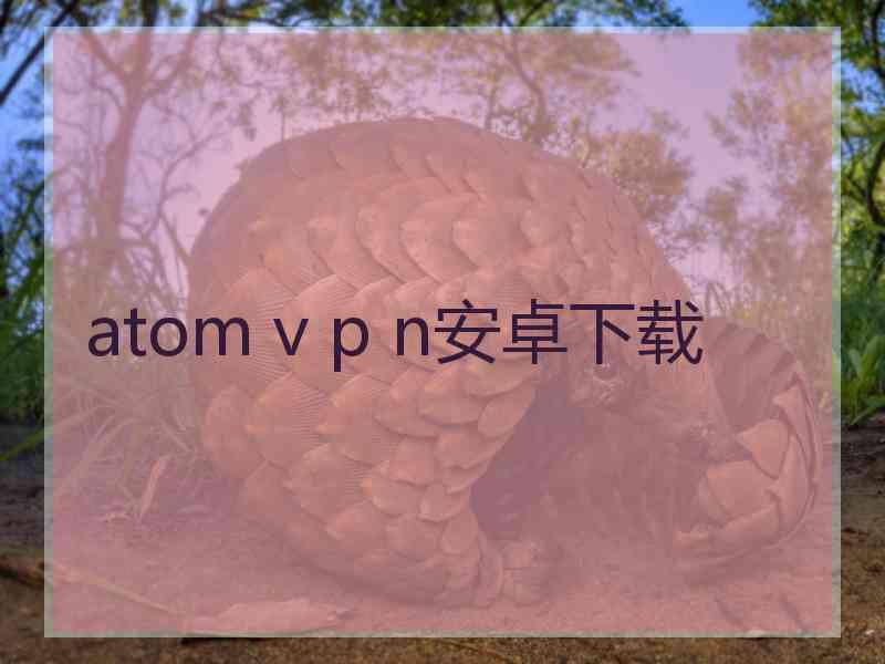 atom v p n安卓下载