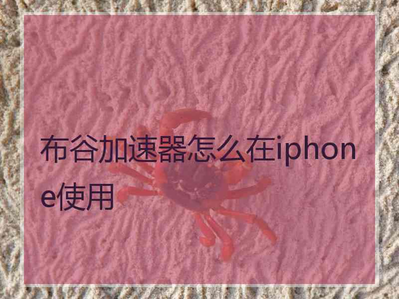 布谷加速器怎么在iphone使用