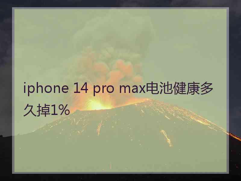 iphone 14 pro max电池健康多久掉1%