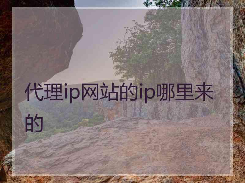 代理ip网站的ip哪里来的