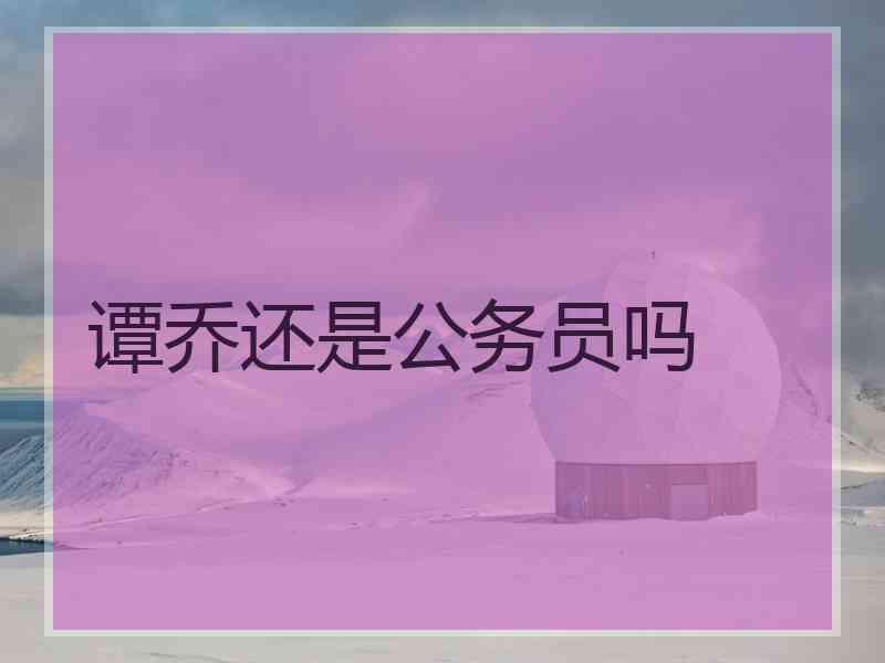 谭乔还是公务员吗