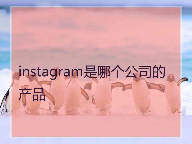 instagram是哪个公司的产品