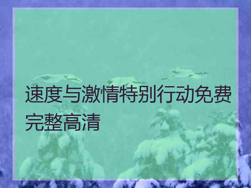 速度与激情特别行动免费完整高清