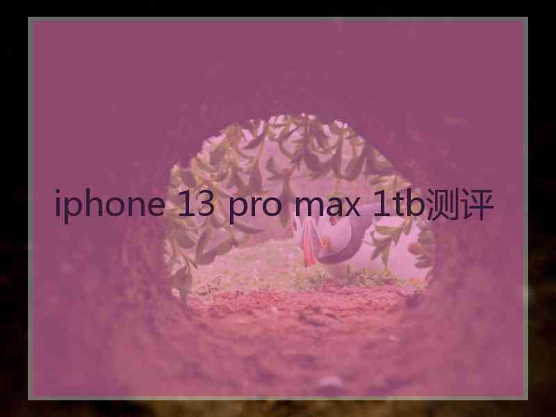 iphone 13 pro max 1tb测评