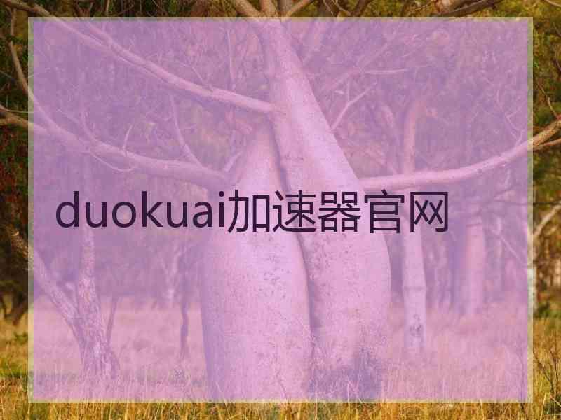 duokuai加速器官网