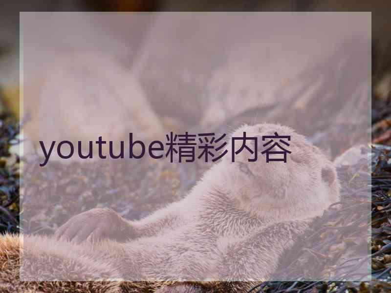 youtube精彩内容