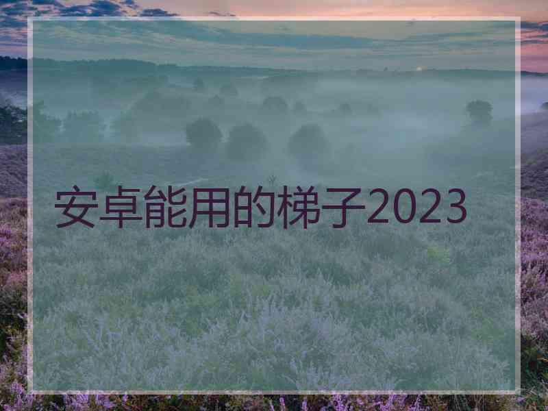 安卓能用的梯子2023