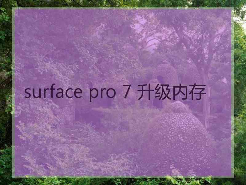 surface pro 7 升级内存