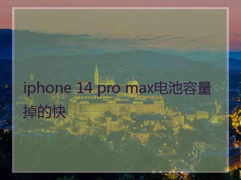 iphone 14 pro max电池容量掉的快