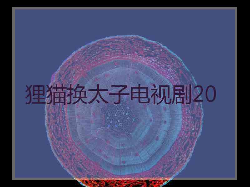 狸猫换太子电视剧20