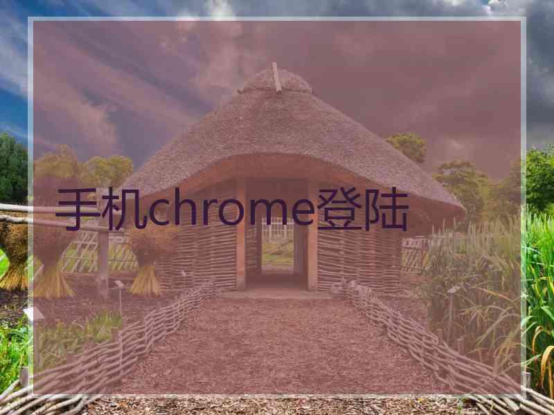 手机chrome登陆