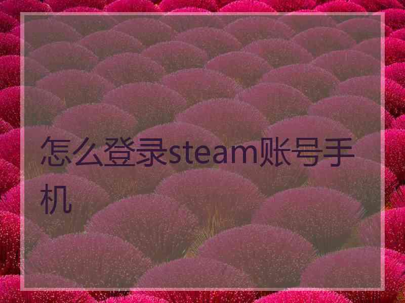 怎么登录steam账号手机