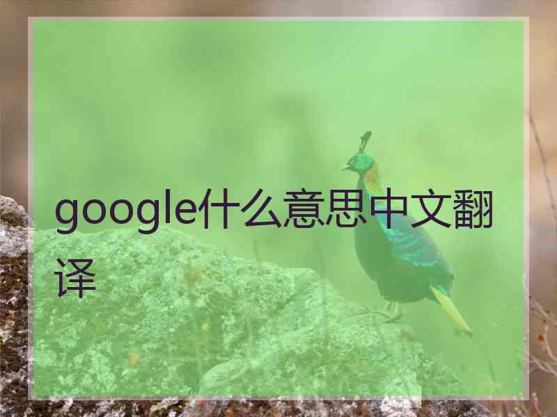 google什么意思中文翻译