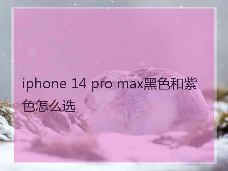 iphone 14 pro max黑色和紫色怎么选