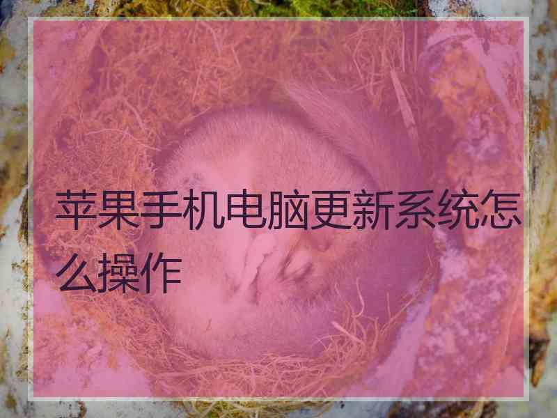 苹果手机电脑更新系统怎么操作