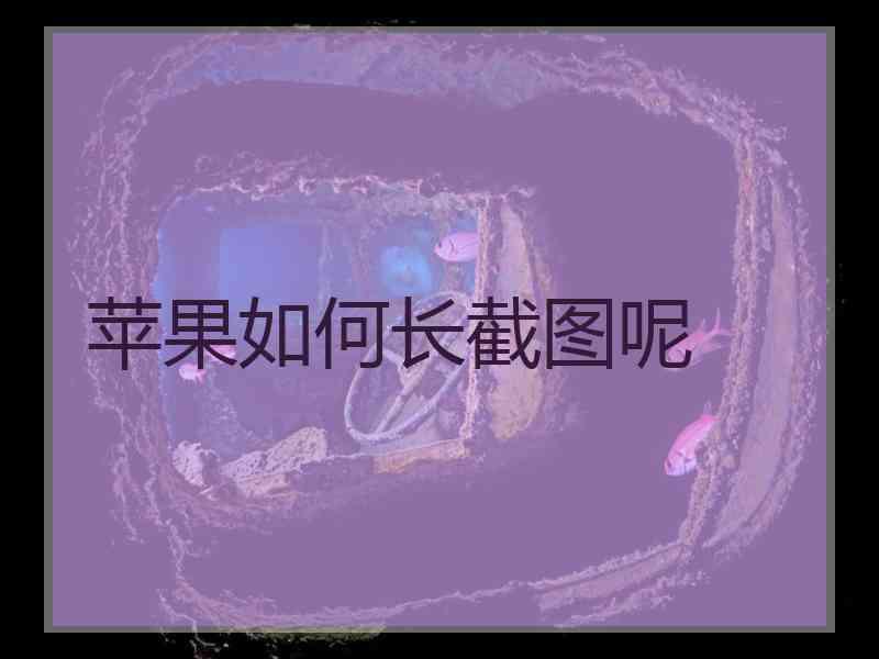 苹果如何长截图呢