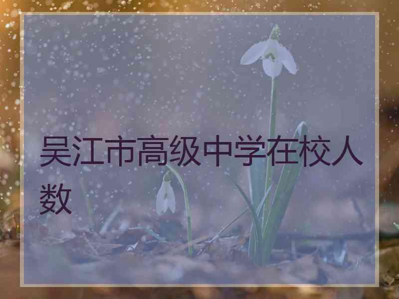 吴江市高级中学在校人数