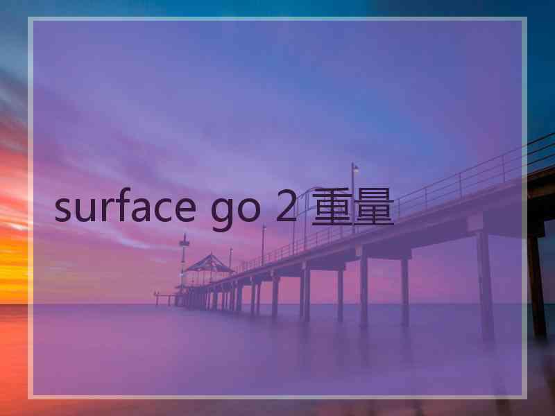 surface go 2 重量