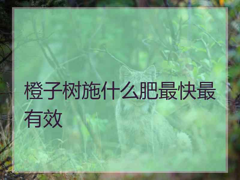 橙子树施什么肥最快最有效