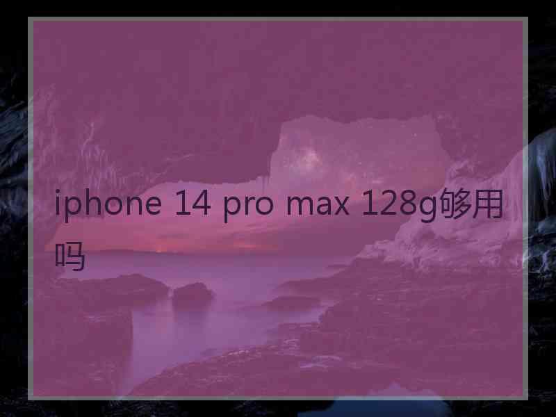 iphone 14 pro max 128g够用吗