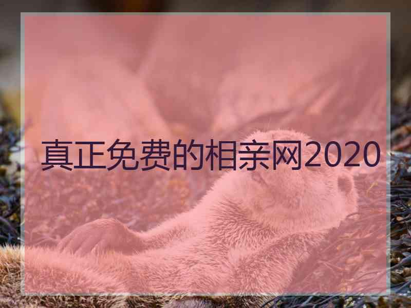 真正免费的相亲网2020