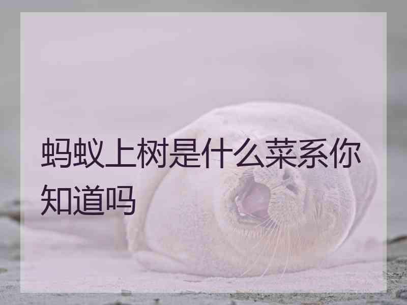 蚂蚁上树是什么菜系你知道吗