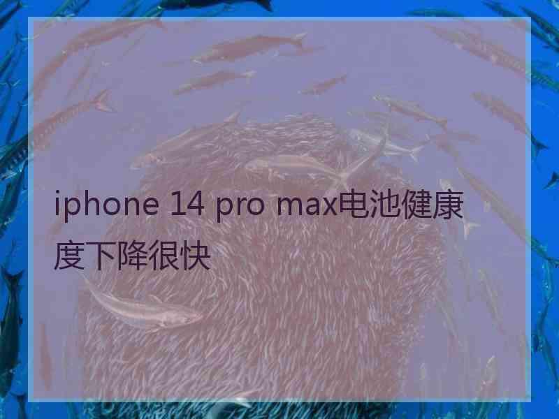 iphone 14 pro max电池健康度下降很快