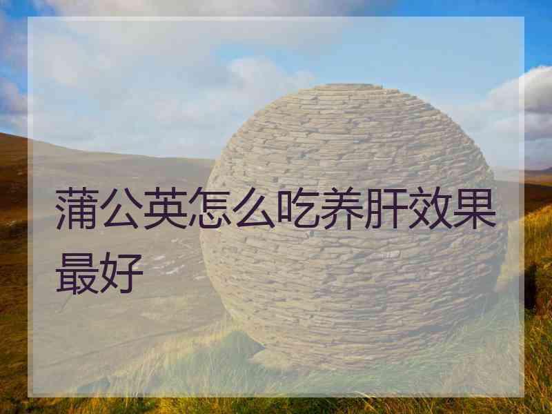 蒲公英怎么吃养肝效果最好