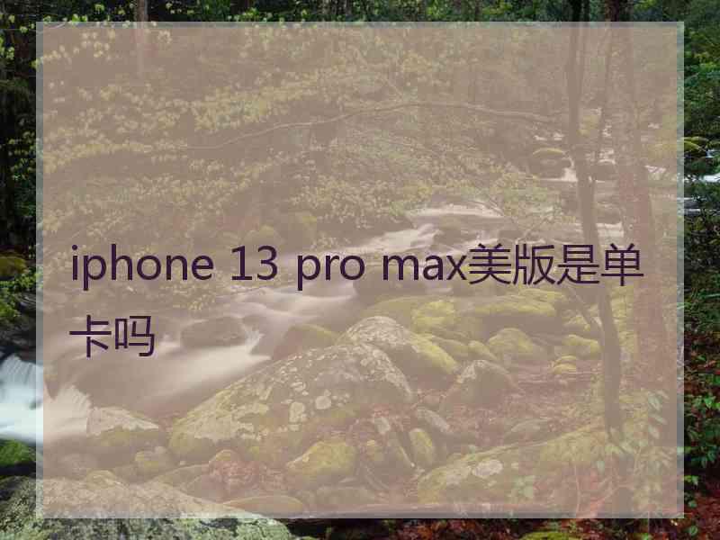 iphone 13 pro max美版是单卡吗