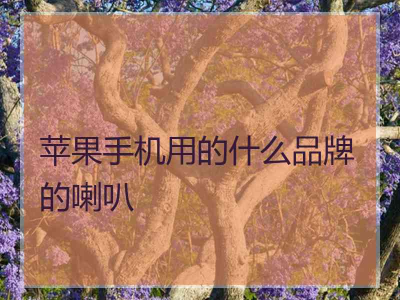 苹果手机用的什么品牌的喇叭