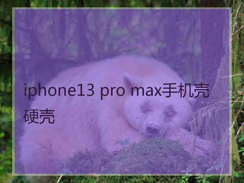 iphone13 pro max手机壳硬壳