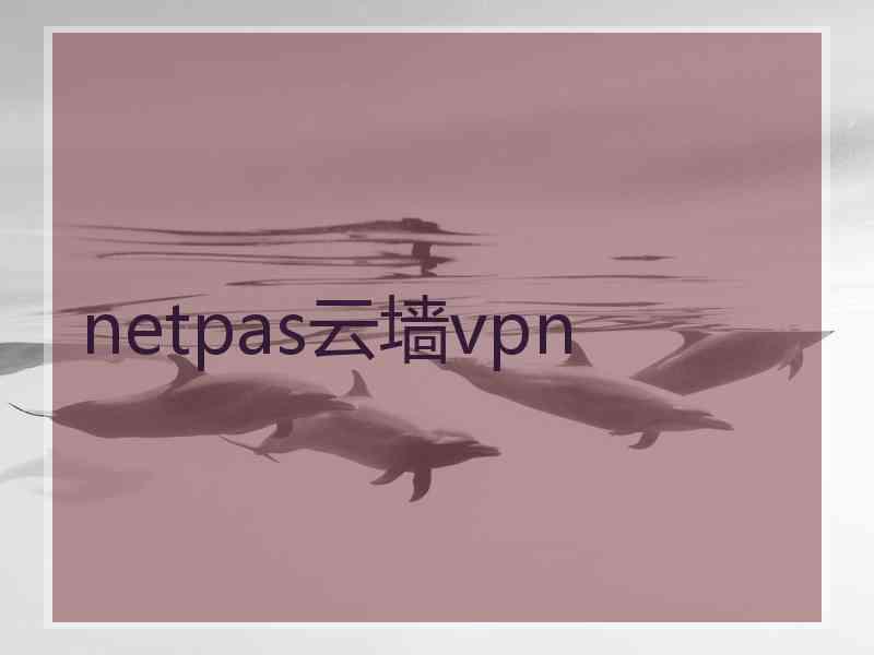 netpas云墙vpn