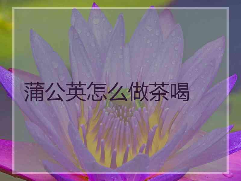 蒲公英怎么做茶喝