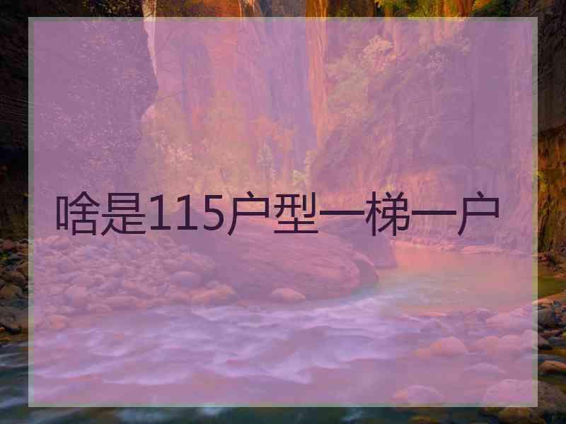 啥是115户型一梯一户