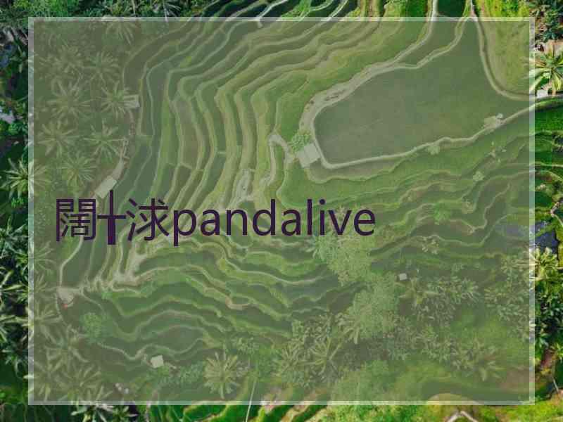 闊╁浗pandalive