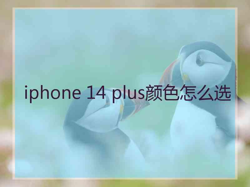 iphone 14 plus颜色怎么选