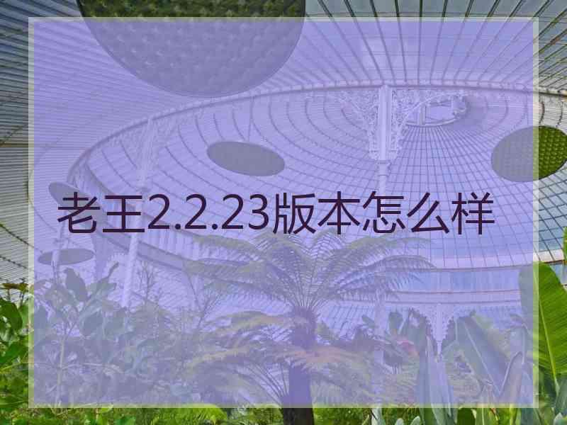 老王2.2.23版本怎么样