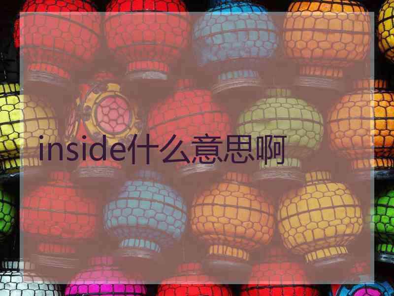 inside什么意思啊