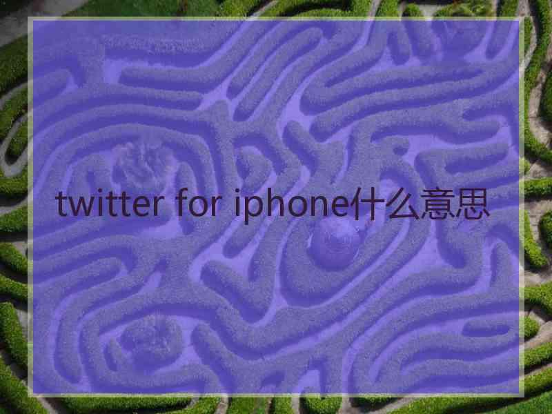 twitter for iphone什么意思