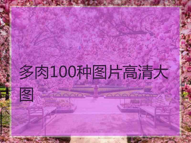 多肉100种图片高清大图