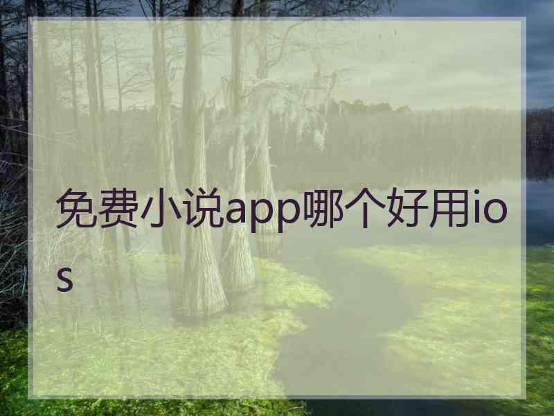 免费小说app哪个好用ios