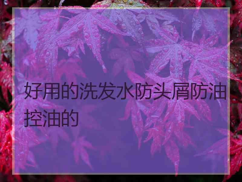 好用的洗发水防头屑防油控油的