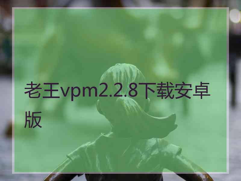 老王vpm2.2.8下载安卓版