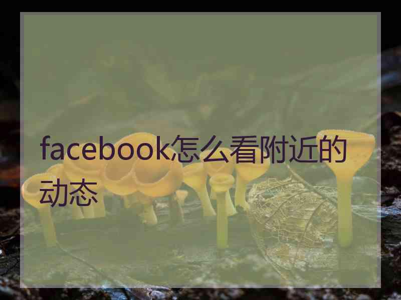 facebook怎么看附近的动态