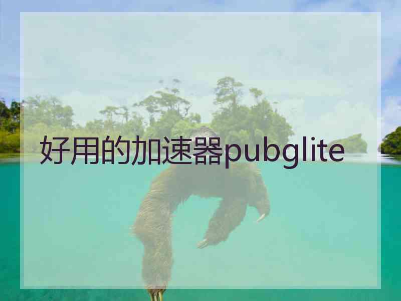 好用的加速器pubglite